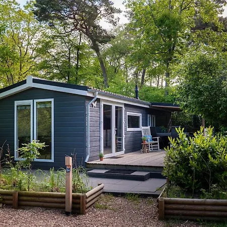 Tatil Evi Vlinder, In De Bossen