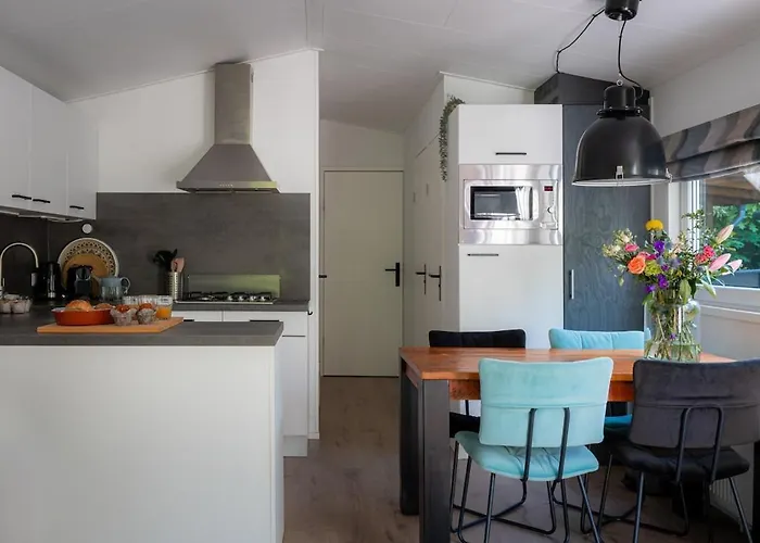 Vlinder, In De Bossen Tatil Evi Nunspeet