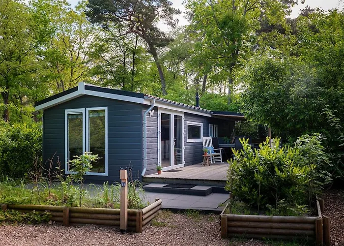 Tatil Evi Vlinder, In De Bossen