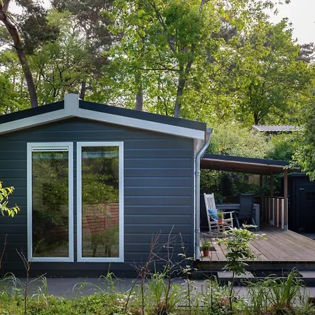 Vlinder, In De Bossen Nunspeet