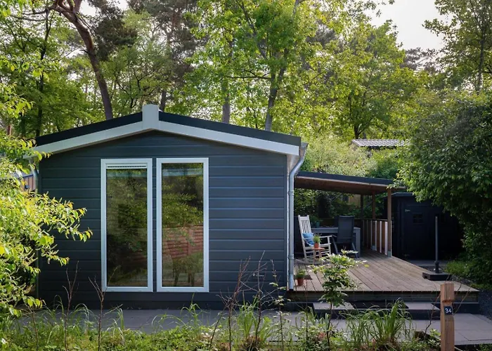 Vlinder, In De Bossen Nunspeet